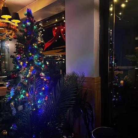 Yali Bahce Mudanya فندق *